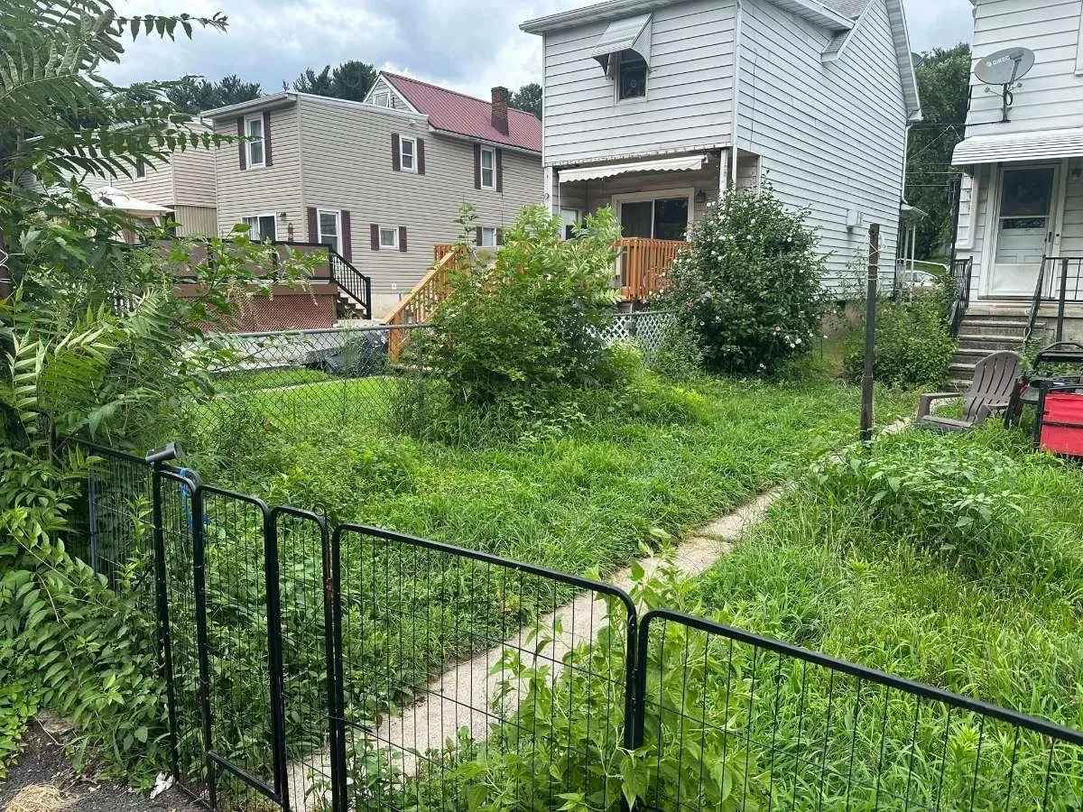 Before landscaping