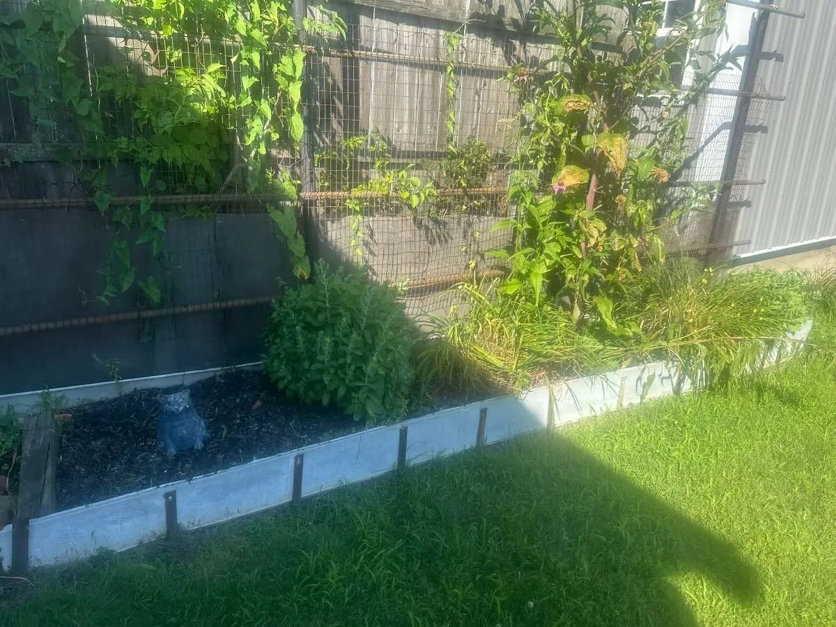 Before landscaping