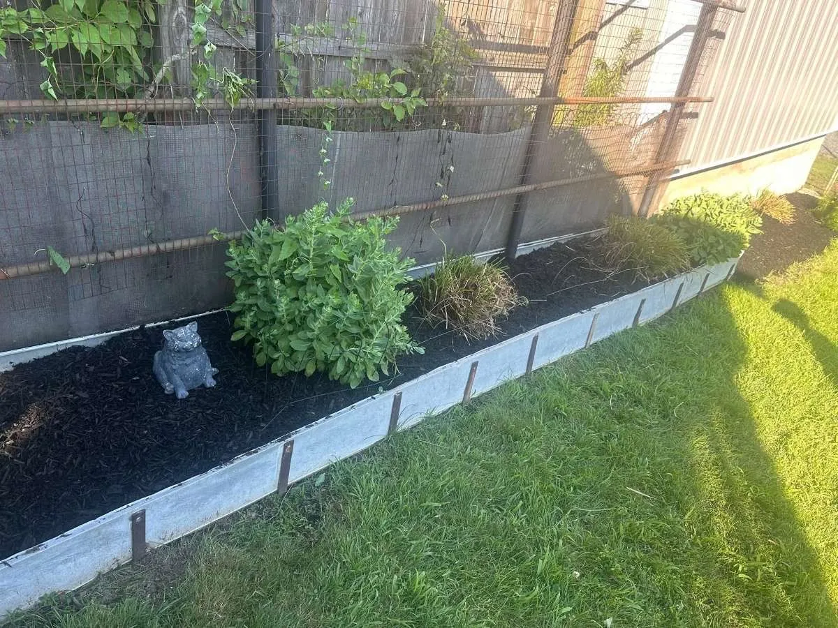 Landscape Design & Planting