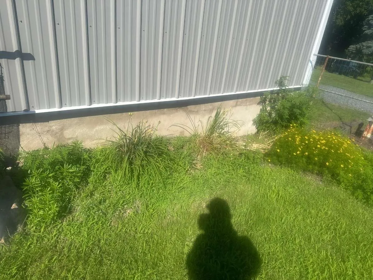 Before landscaping