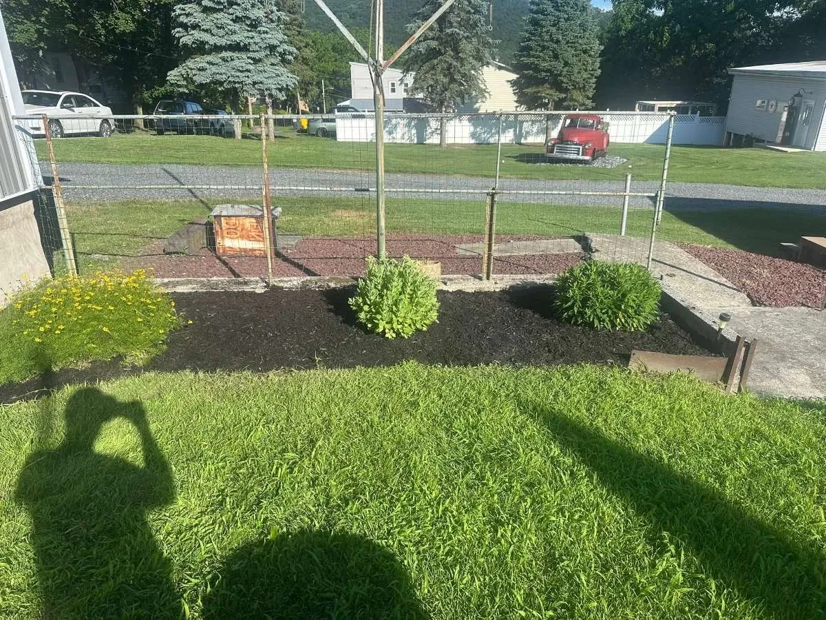 Leaf Removal & Fall Cleanup