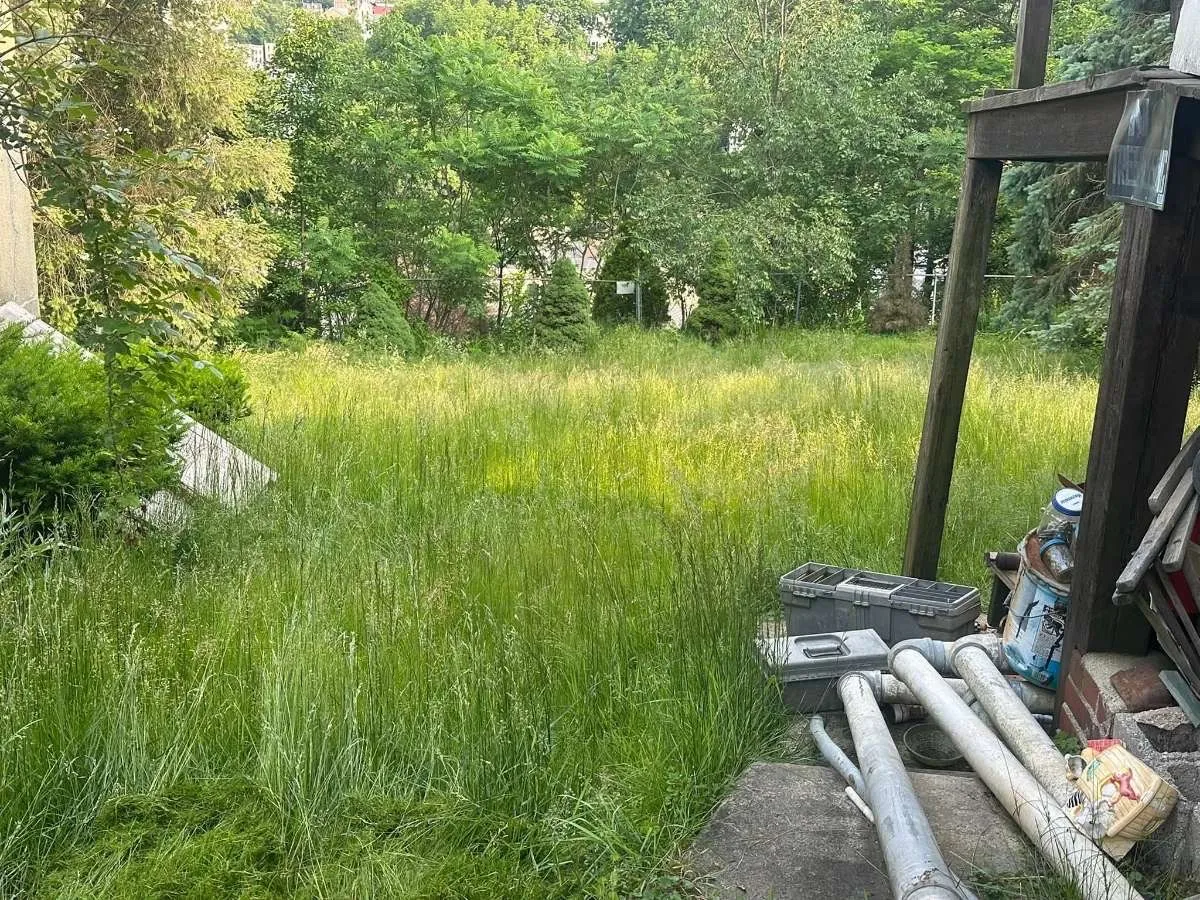 Before landscaping