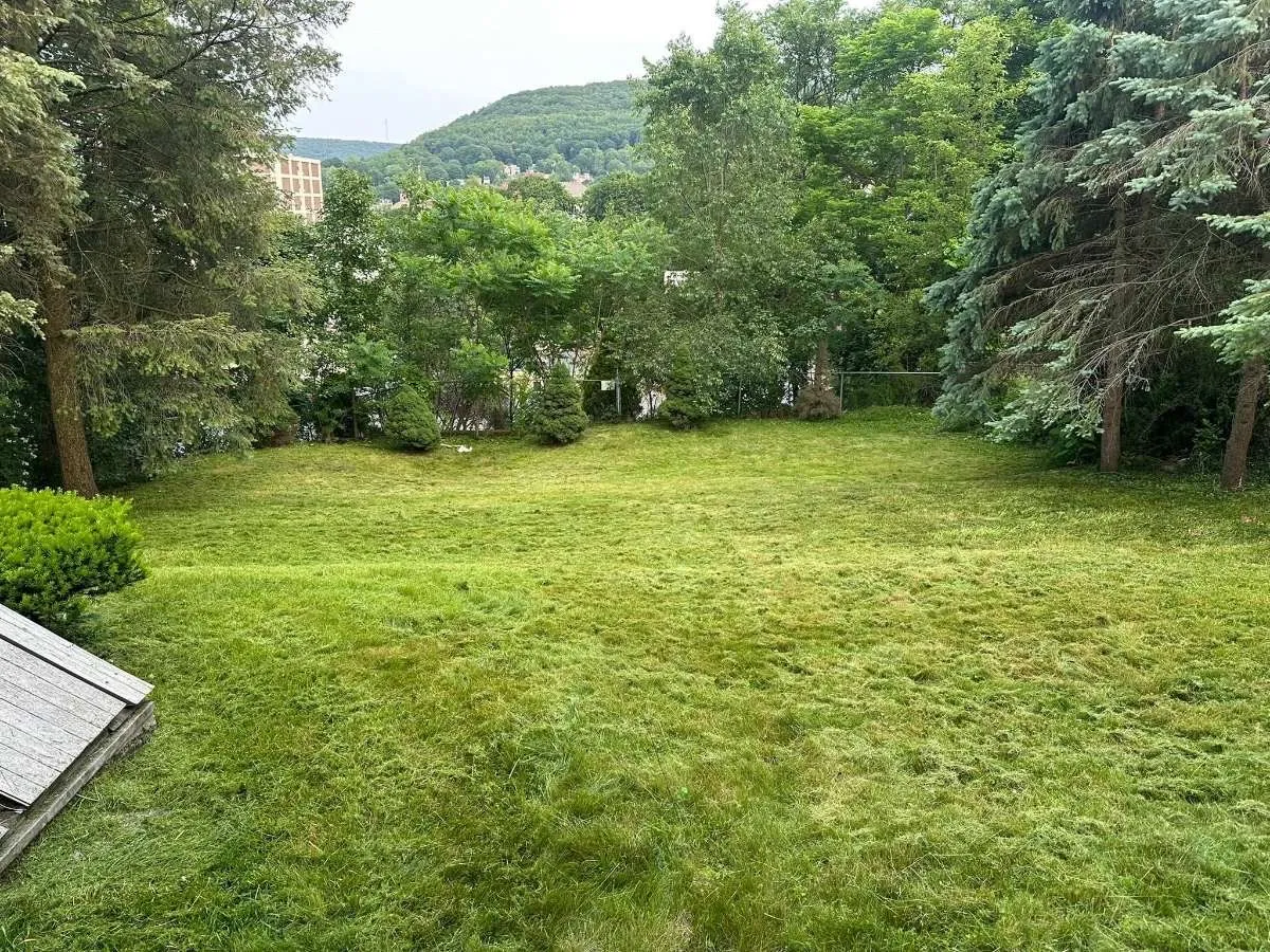 Lawn Mowing & Maintenance