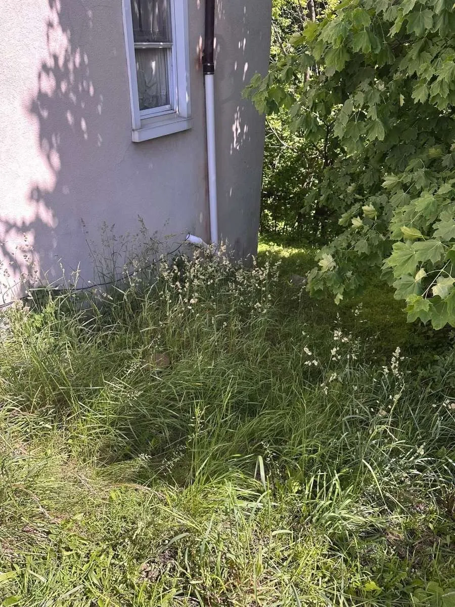 Before landscaping