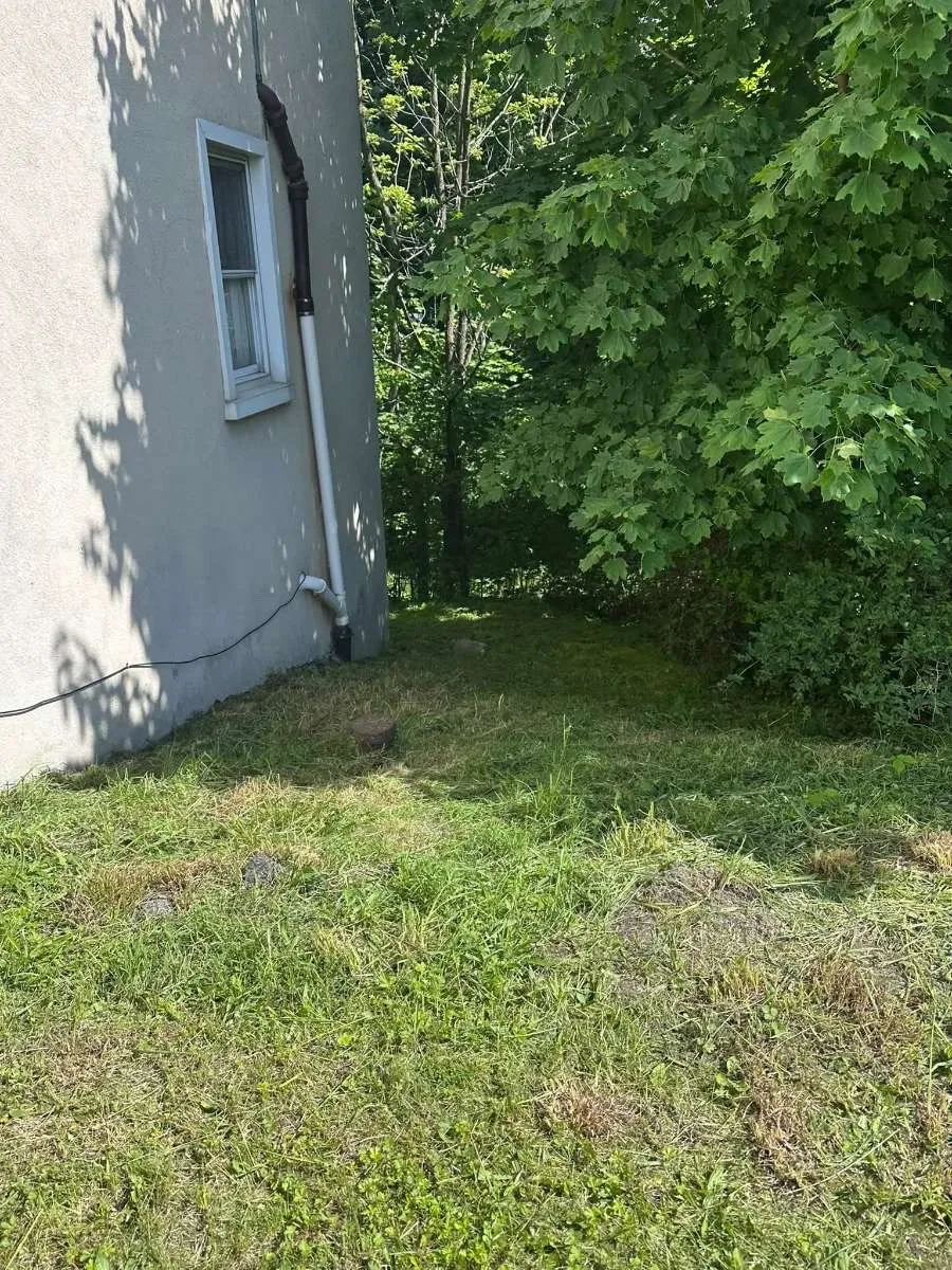 After landscaping