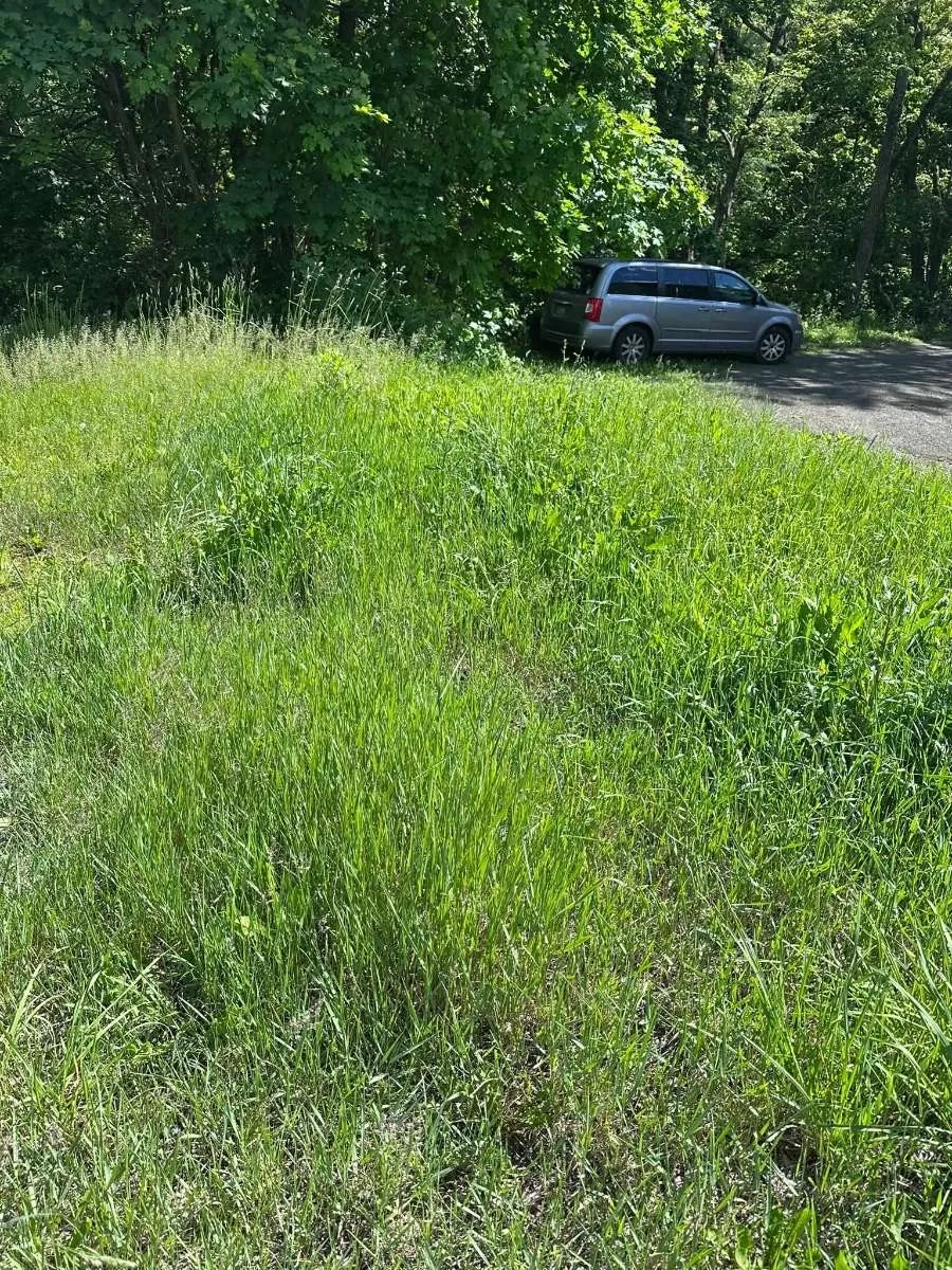 Before landscaping