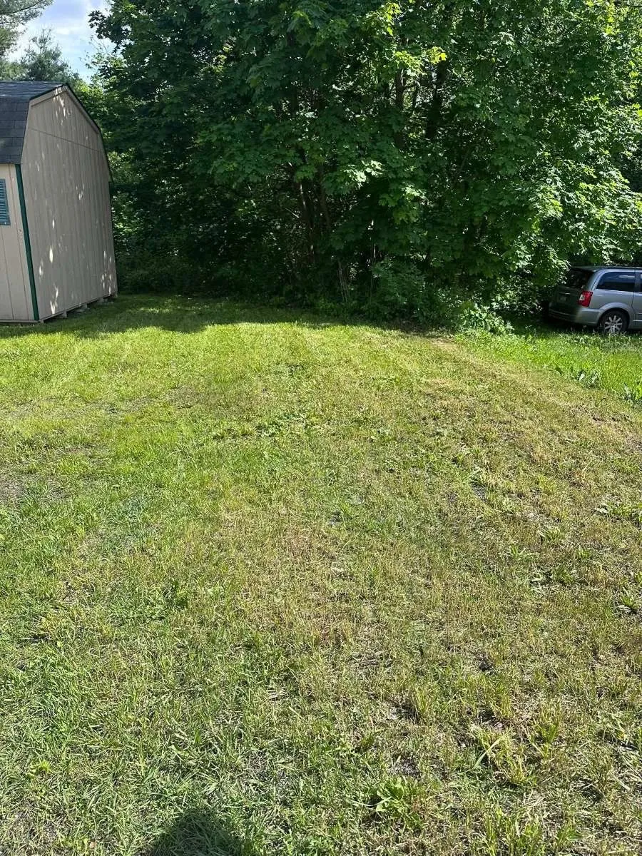 Fire Bros finished landscaping work